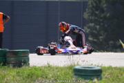 20110501_ales_agnus (3171)